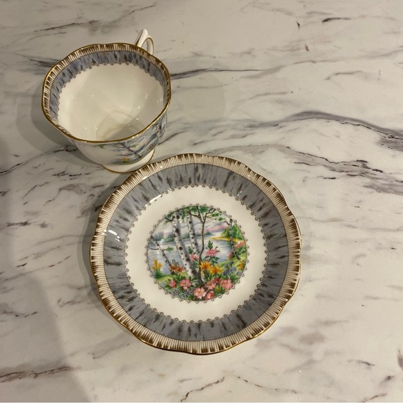 Vintage Royal Albert Silver Birch bone china teacup & saucer - Picture 3 of 12